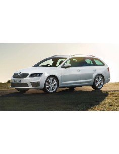 Kit Led Fendinebbia Octavia 2014