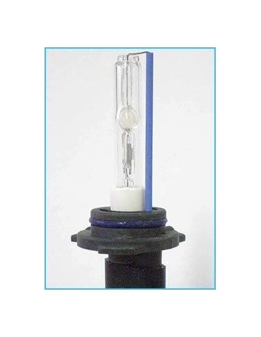 lampade Xeno HB4 6000K 35W