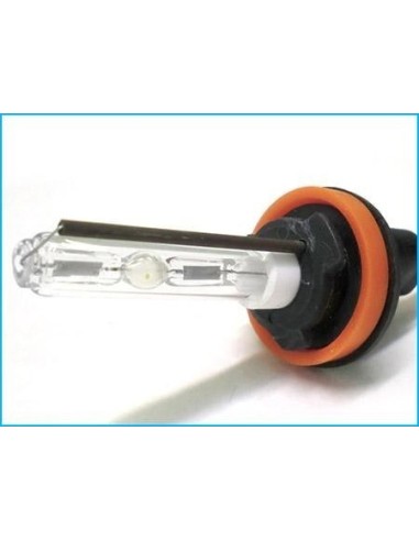 lampada Xeno H11 6000K 35W (2 pz)