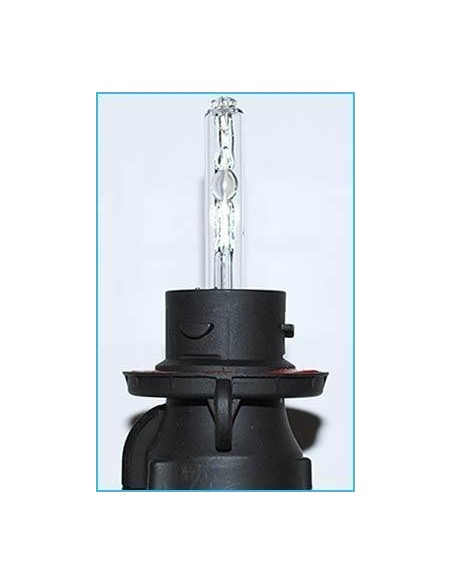 lampada Xeno in H13 6000K 35W Bixenon