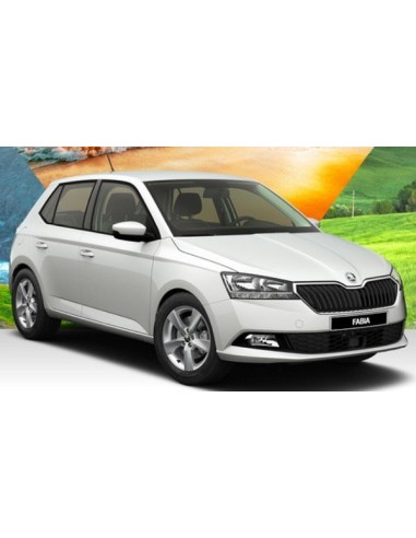 Kit Led Anabbaglianti Parabola Fabia 2019