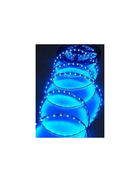 Bobina 5 Metri 300 Led  Blu