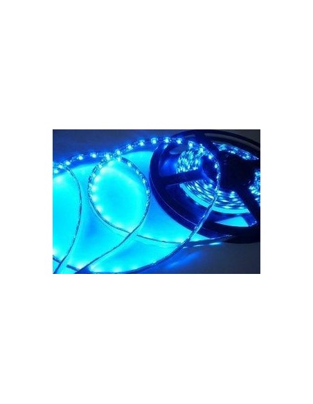 Bobina 5 Metri 300 Led  Blu