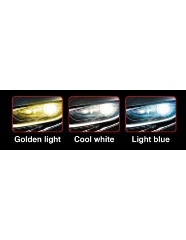 Kit Led HB1 9004 Cambus 6500k
