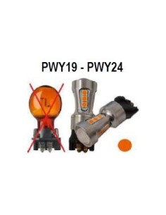 Base PWY19 PWY24 Amber