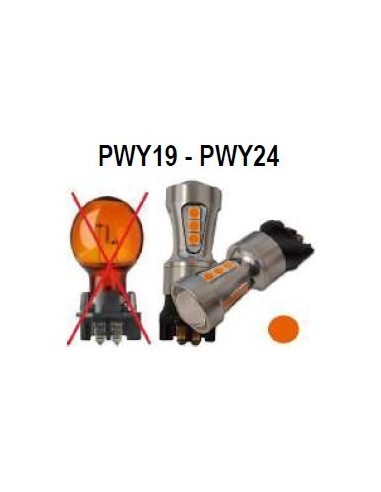 Base PWY19 PWY24 Amber