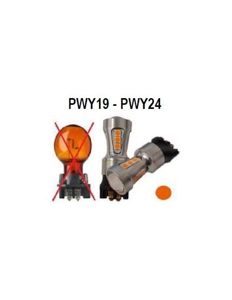 Base PWY19 PWY24 Amber