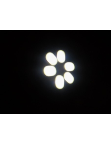 lampade 6 led T10 Cambus