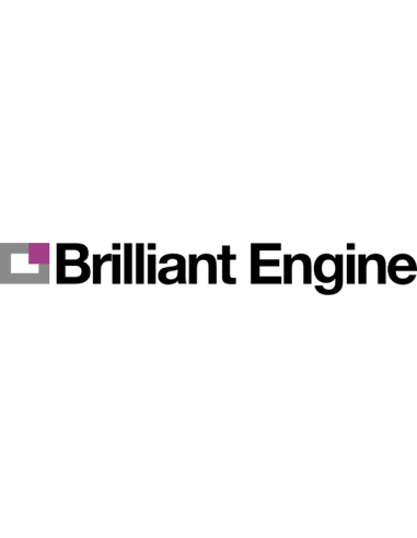 BRILLIANT ENGINE Tracciante UV per Ricerca Perdite Olio Parti Motore
