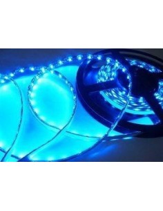 Bobina 5 Metri 300 Led  Blu 2