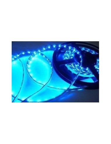 Bobina 5 Metri 300 Led  Blu