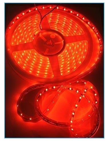 Bobina 5 Metri 300 Led  rosso