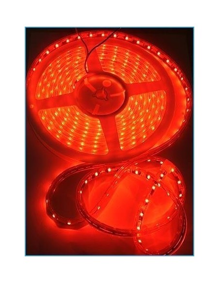 Bobina 5 Metri 300 Led  rosso