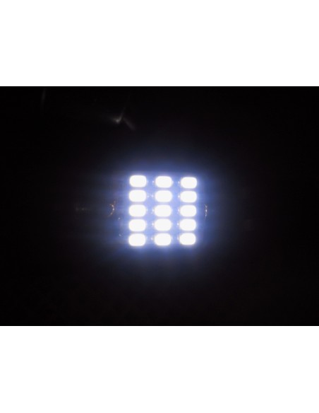 Siluri a Led Cambus 36 mm