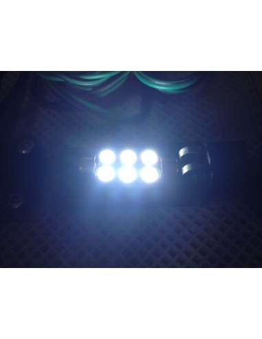 Siluri a Led Cambus (Red Line) 36mm