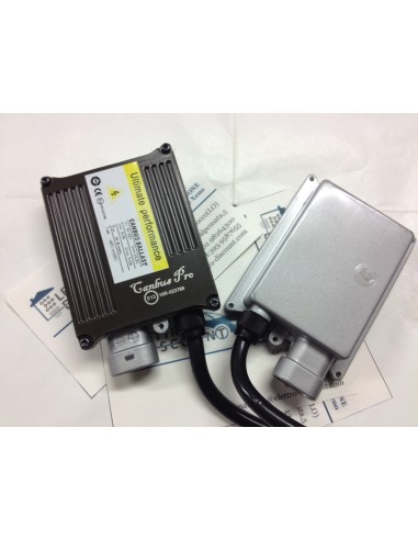 Kit xeno H7 Cambus PRO 6000k