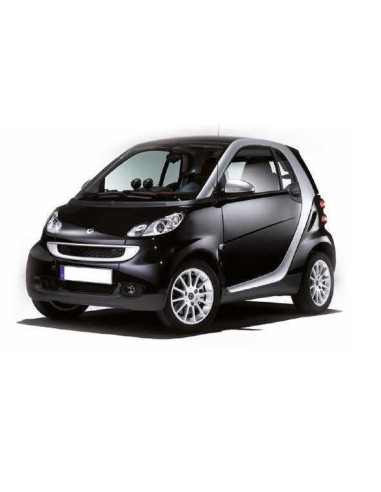 Fanalini laterali freccia Dinamica Smart fortwo 451