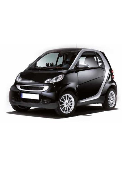 Fanalini laterali freccia Dinamica Smart fortwo 451