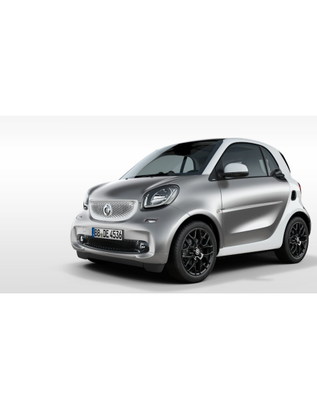 Fanalini laterali freccia Dinamica Smart fortwo 453