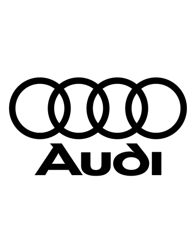Fanalini laterali freccia Dinamica Audi A3 A4 A6 A8 TT
