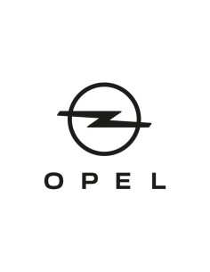 Fanalini laterali freccia Dinamica Opel Astra Insigna Zafira Grandlandx 2