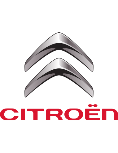 Fanalini laterali freccia Dinamica Citroen Peugeot