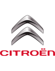 Fanalini laterali freccia Dinamica Citroen Peugeot 2