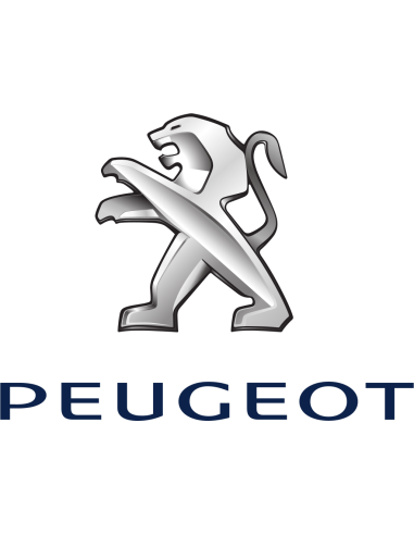 Fanalini laterali freccia Dinamica Citroen Peugeot