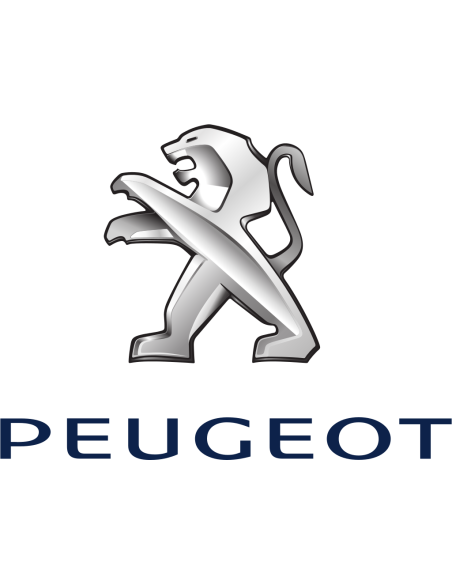 Fanalini laterali freccia Dinamica Citroen Peugeot