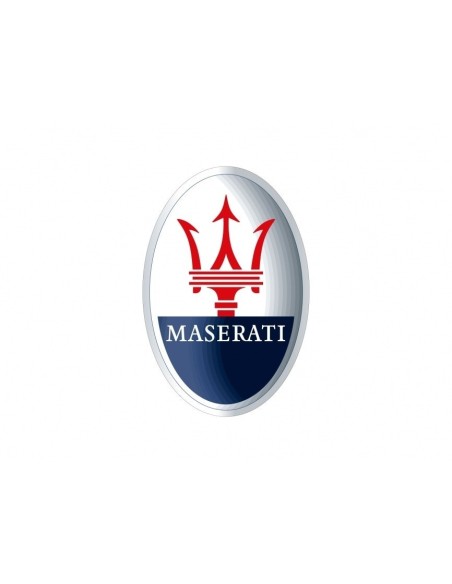 Fanalini laterali freccia Dinamica Fiat Lancia Ford Maserati