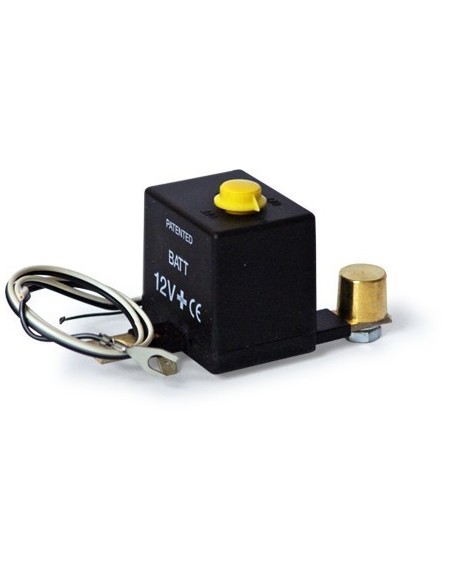 Salva Batteria intelligente 24V