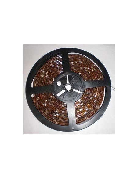 Bobina 5 Metri 300 Led Grossi  Bianco Freddo