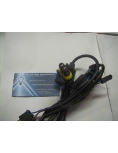 Cablaggio Indipendente multipolarità per H4 12V 2