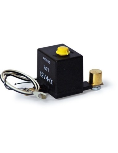 Salva Batteria intelligente 12V