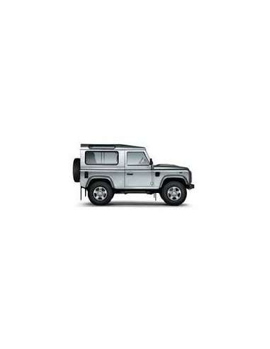 Plafoniera Defender
