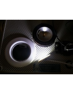 Plafoniera P Ovale base Siluro 2