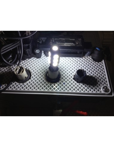 Lampade a 13 led Cambus