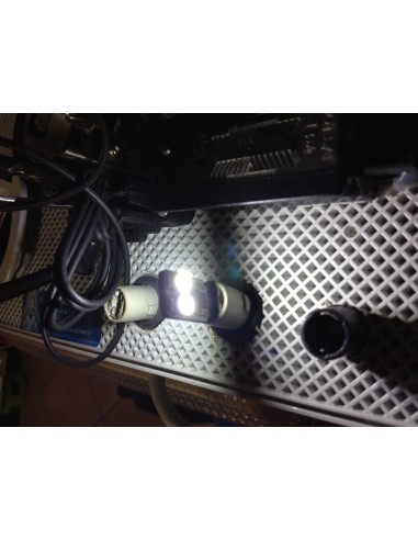 Lampade a 4 led su i lati Cambus
