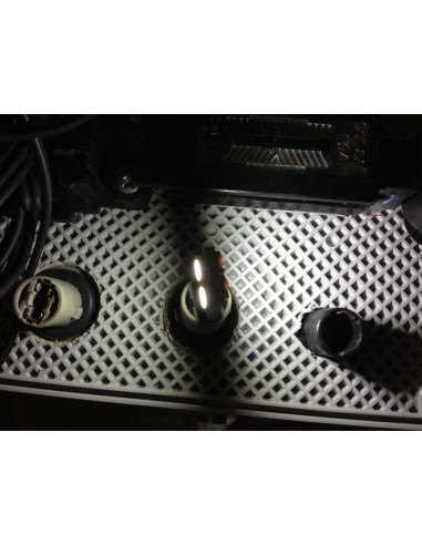 Lampade a 4 led su i lati Cambus