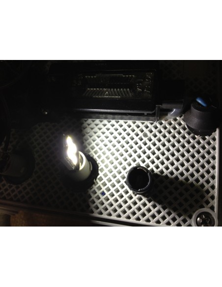 lampade a 4 led su un lato Cambus