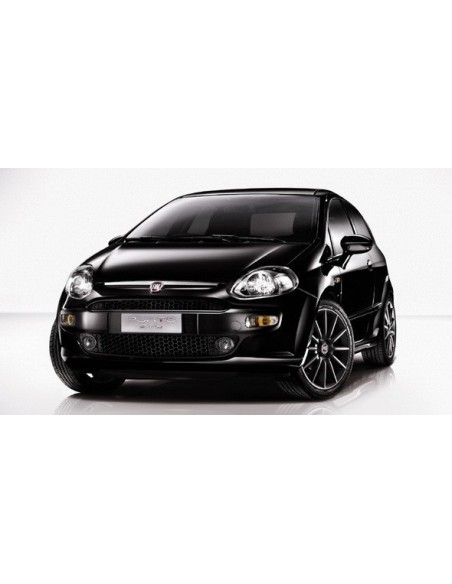 Kit completo Led T10 Cambus Grande Punto Golf Ypsilon