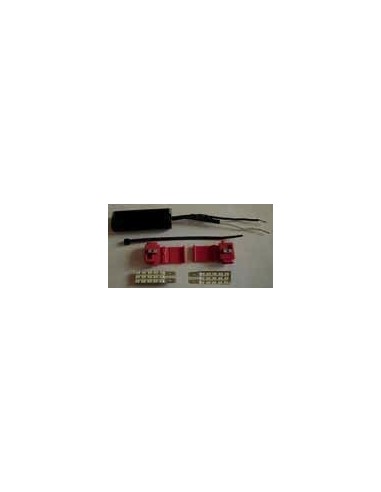 Kit completo Led Cambus Targa