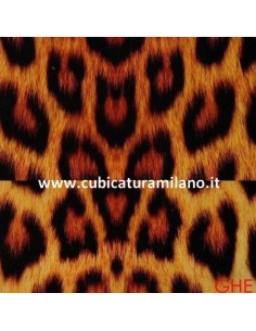ANIMALI GHE