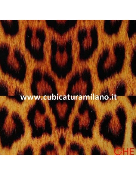 ANIMALI GHE