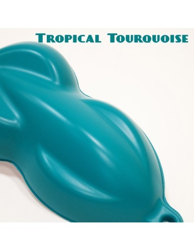 Plasti Dip Spray CAN TROPICAL TURQUOISE MAT 1957
