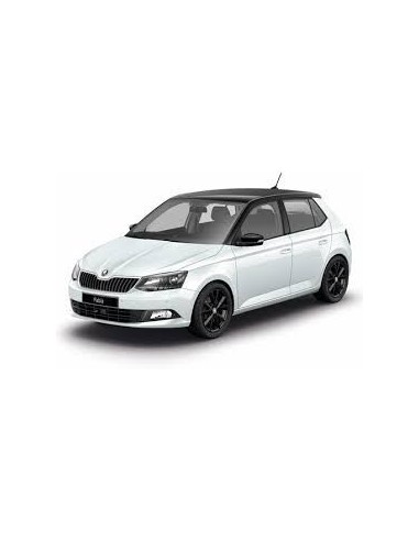 Plafoniera anteriore Skoda Fabia new