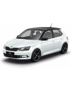Kit led plafoniera posteriore laterale Fabia