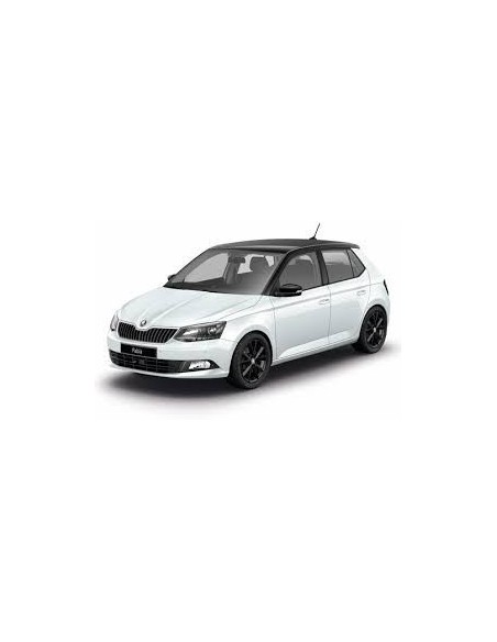Kit led plafoniera posteriore laterale Fabia