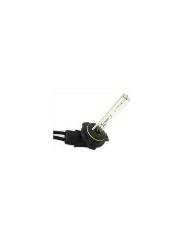 Kit Xeno specifico per Toyota iQ IN 6000k