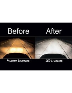 Kit Led ZES 2 HB1-9004 Cambus 65000k 2